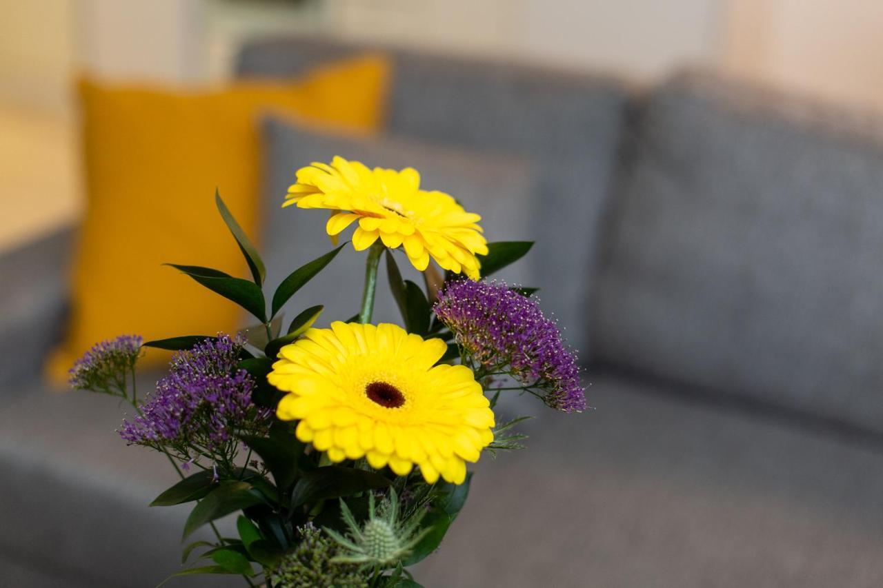 Sampo Studios โรวานิเอมิ ภายนอก รูปภาพ
